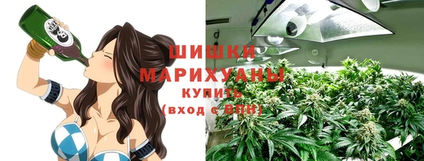 прущие грибы Осинники